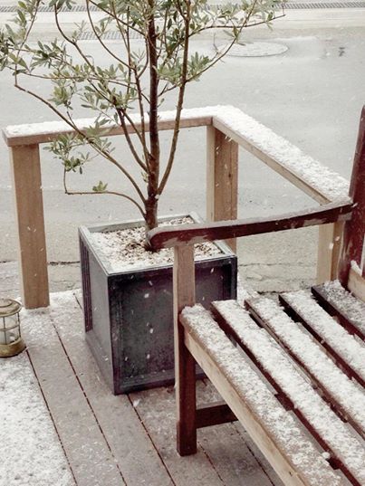 またまた雪ですね。しかも今回は平日の雪……